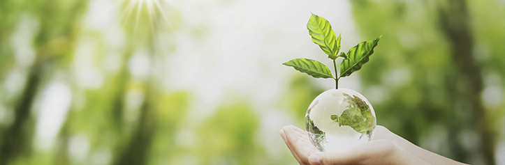 Sustentabilidade